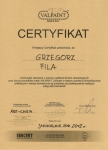 certyfikatvalpaintfila2012